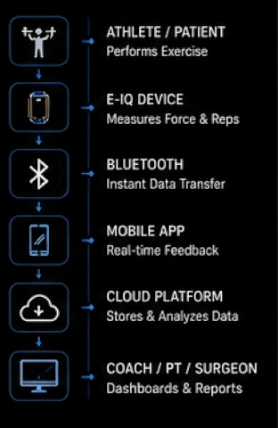 EIQ list of uses.